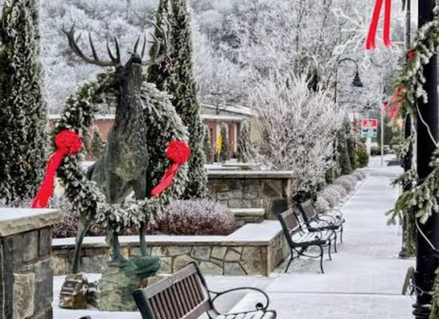 Banner Elk's Small Town Christmas: A High Country Holiday