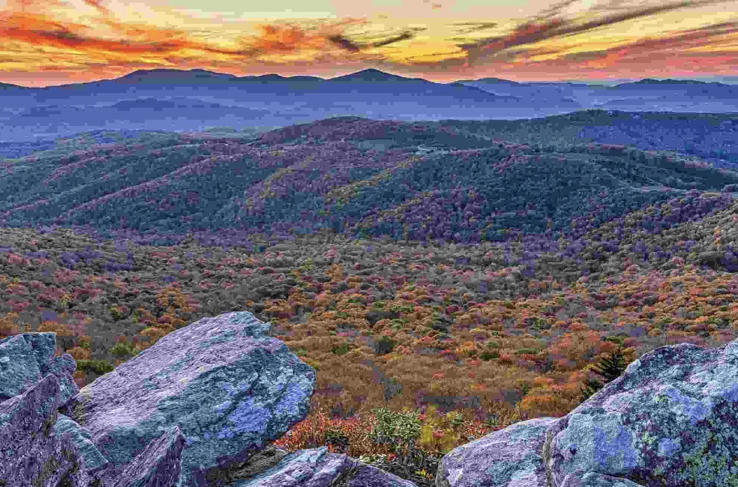 Above the Timberline: Watching Sunrise at Rough Ridge